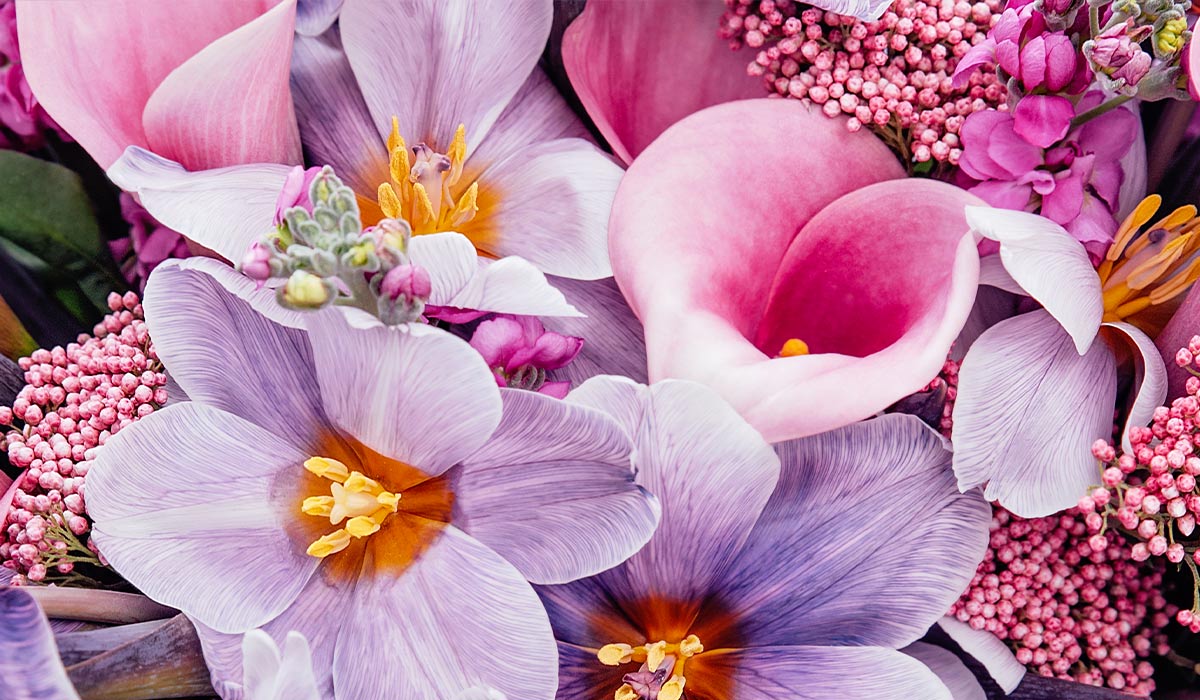 FLower Arranging Scuola Nautica Olbia